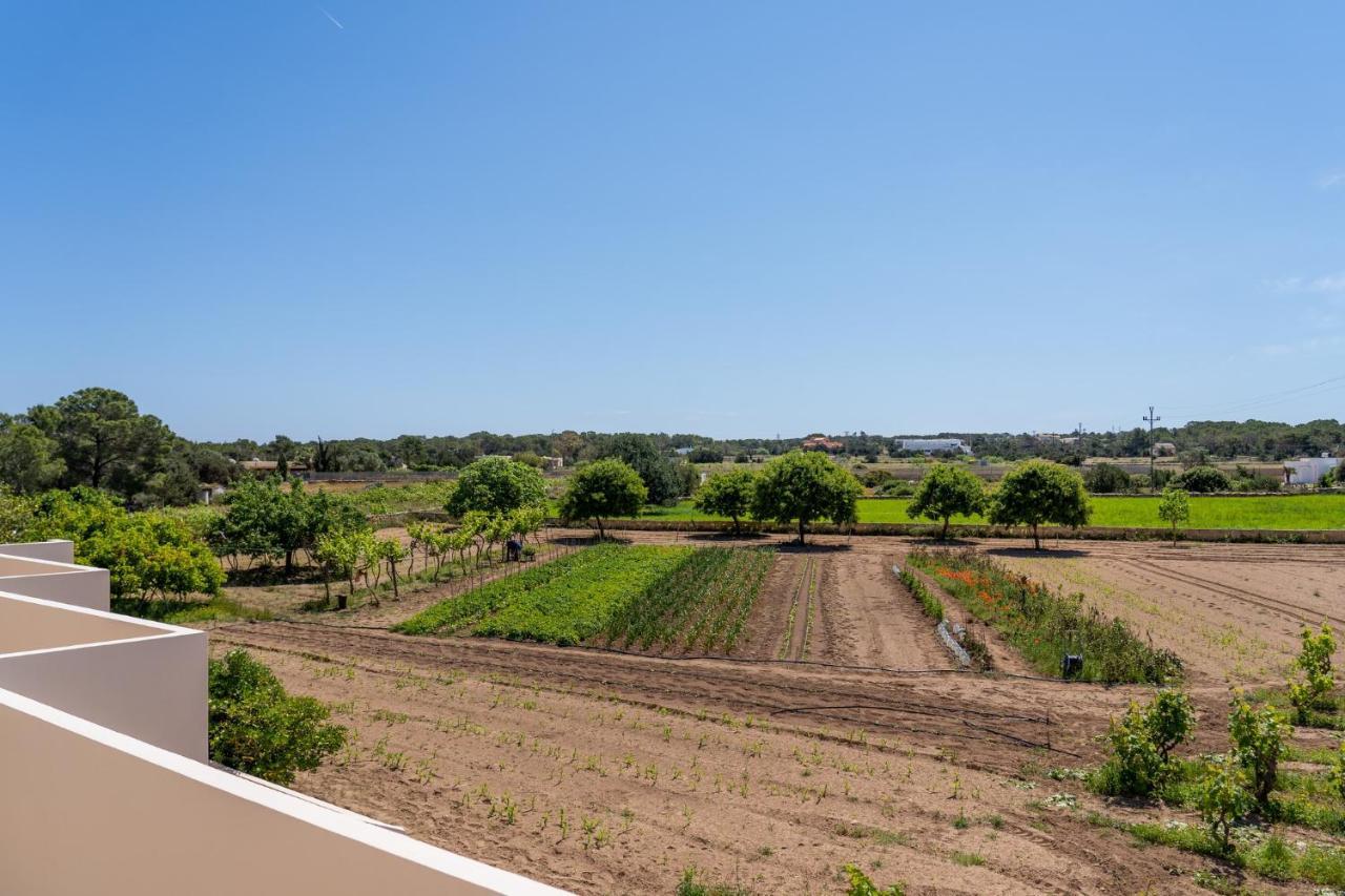 Apartamentos Marcelino - Formentera Break 에스푸홀스 외부 사진